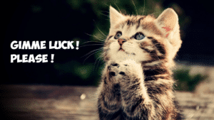 Toluna Review - Qualify for Survey needs Luck Toluna Review - Qualify for Survey needs Luck