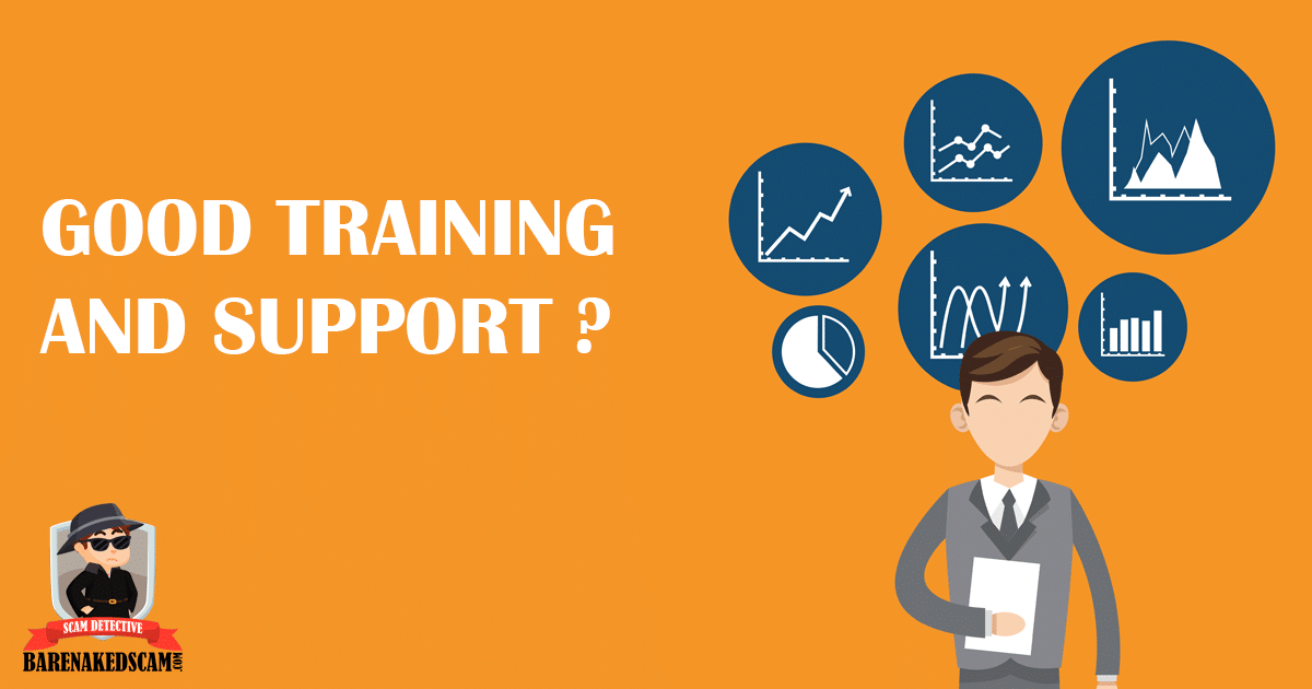 Does Vector Marketing Provide good training and support?