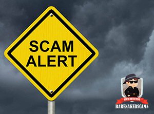 How to Detect Online Opportunity Scams