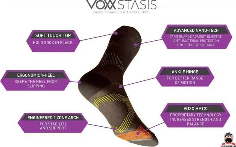 Voxx Stasis